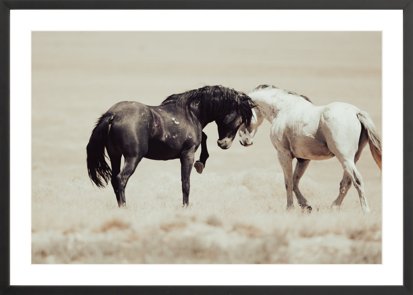 30"x20" / Black / Border