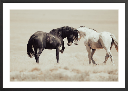 30"x20" / Black / Border