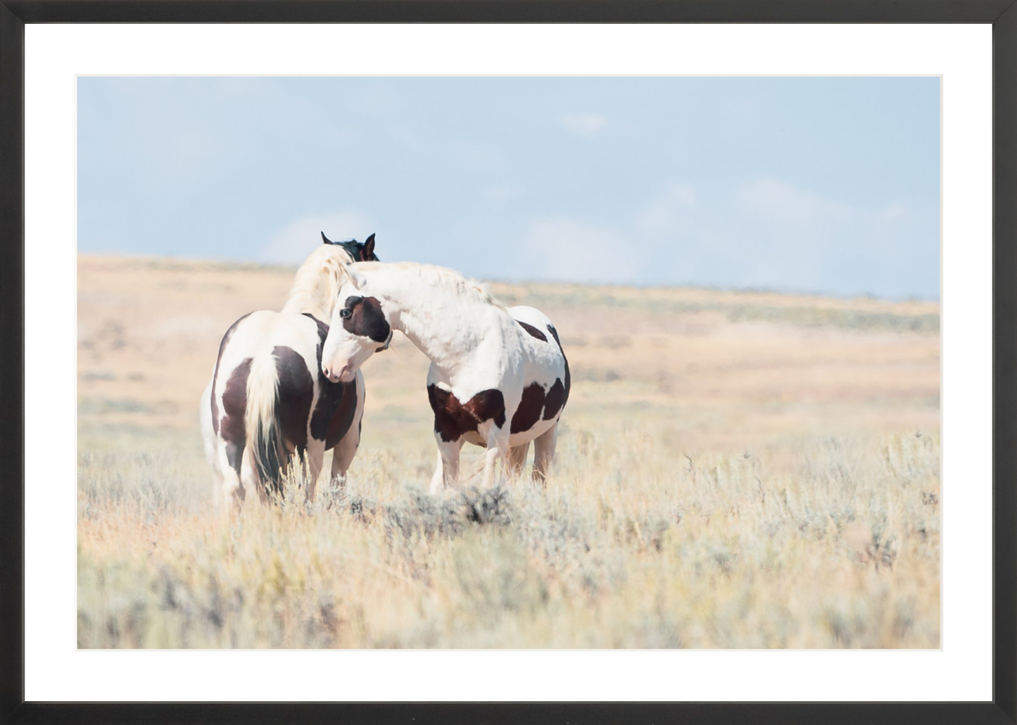 30"x20" / Black / Border