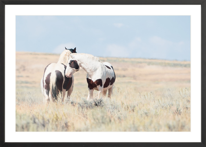 30"x20" / Black / Border
