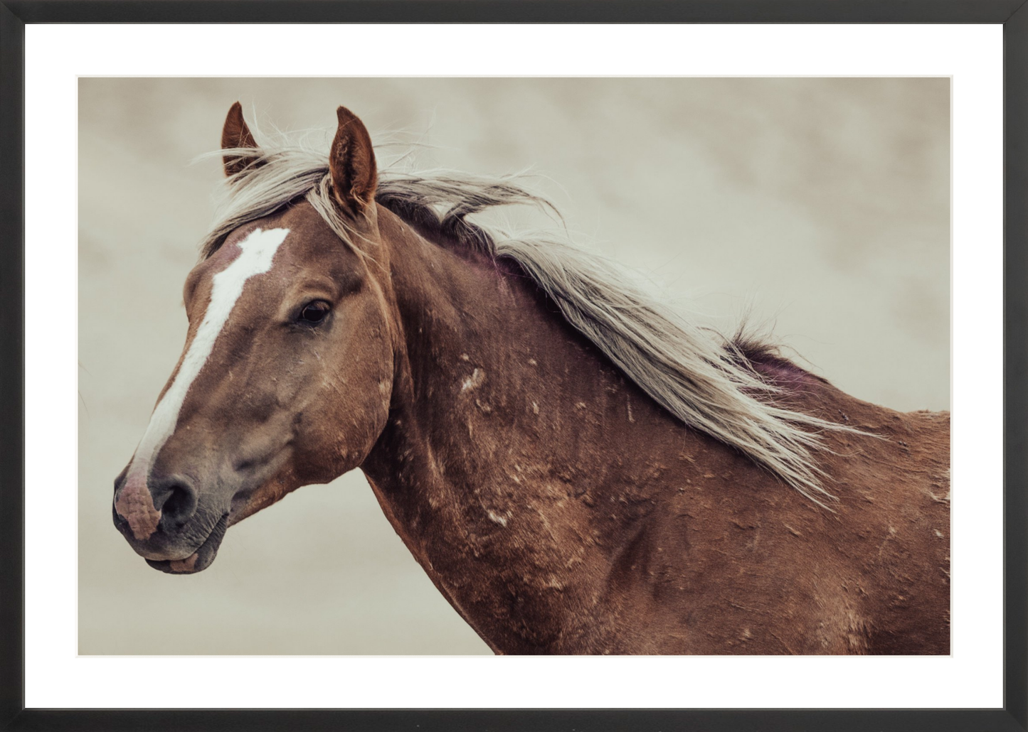 30"x20" / Black / Border