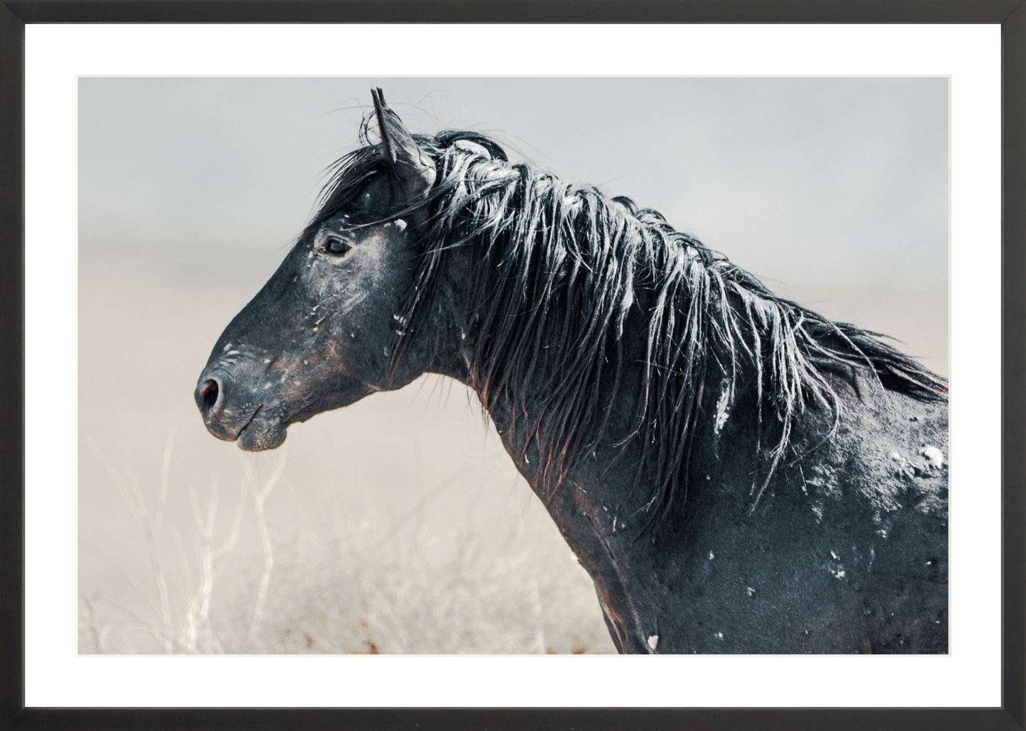 30"x20" / Black / Border