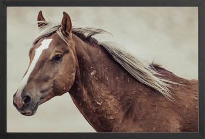 24"x16" / Black / Full Bleed