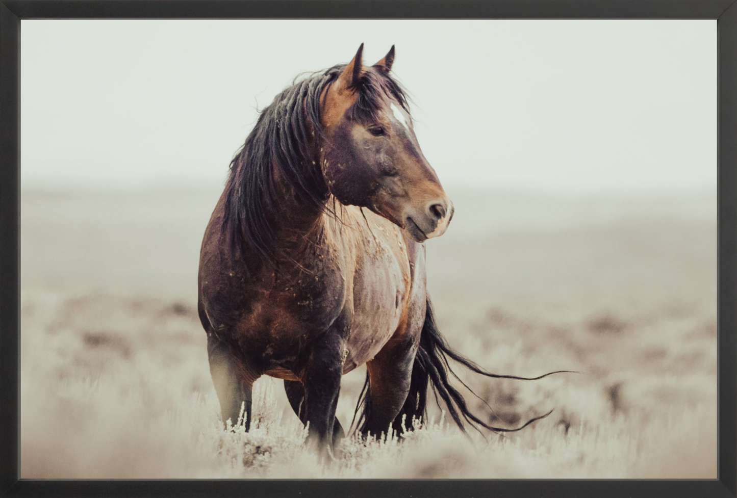 30"x20" / Black / Full Bleed