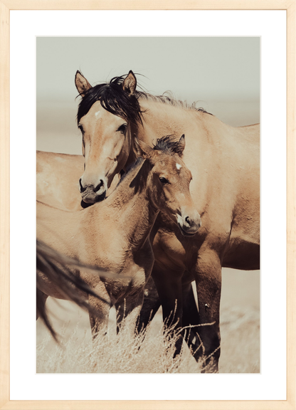 16"x24" / Natural / Border