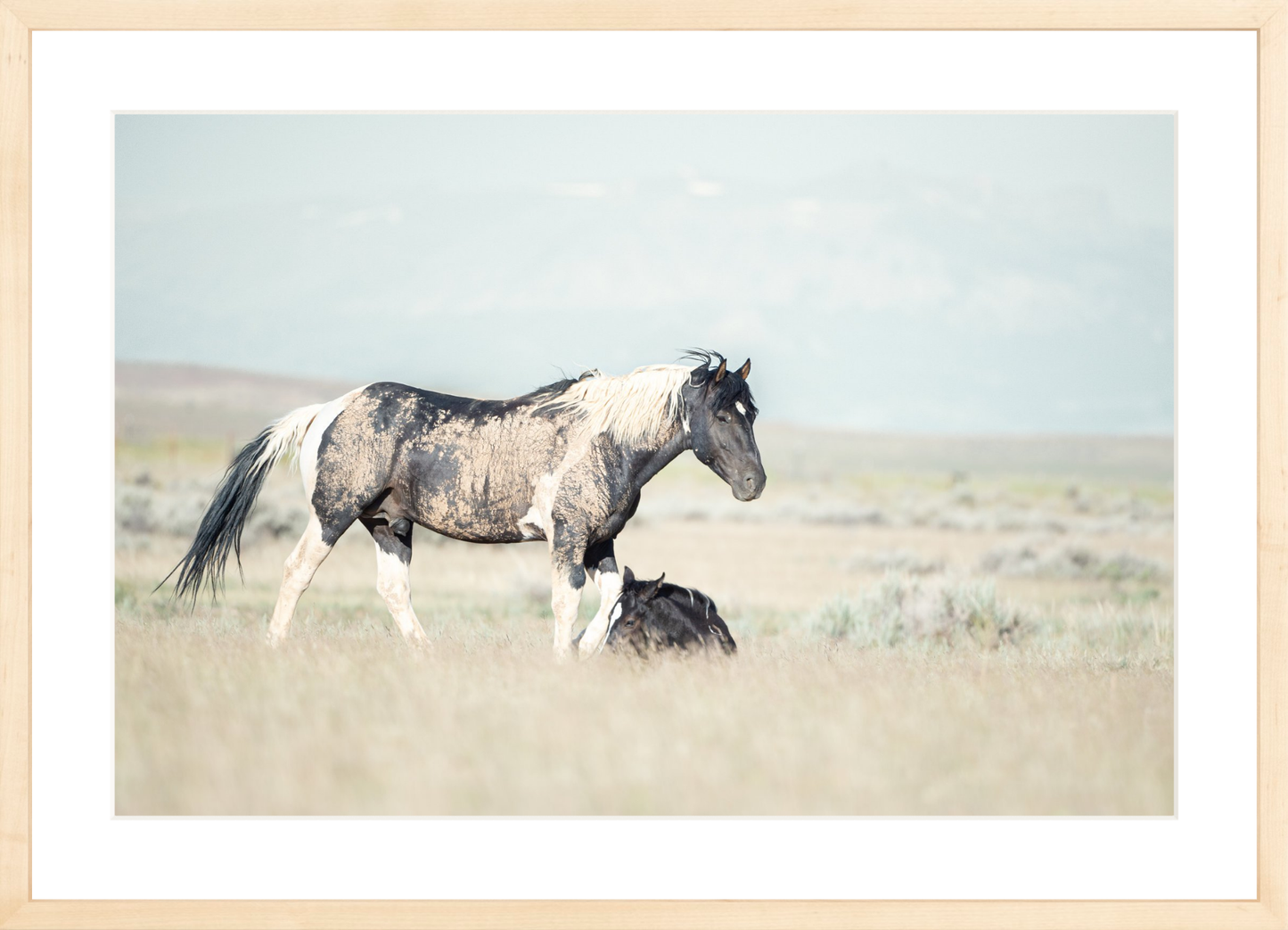 24"x16" / Natural / Border