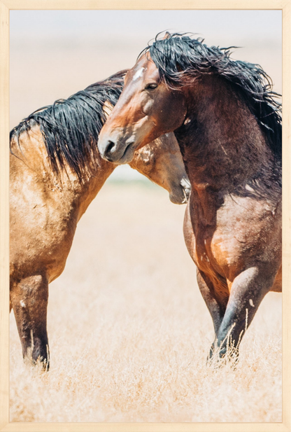 20"x30" / Natural / Full Bleed