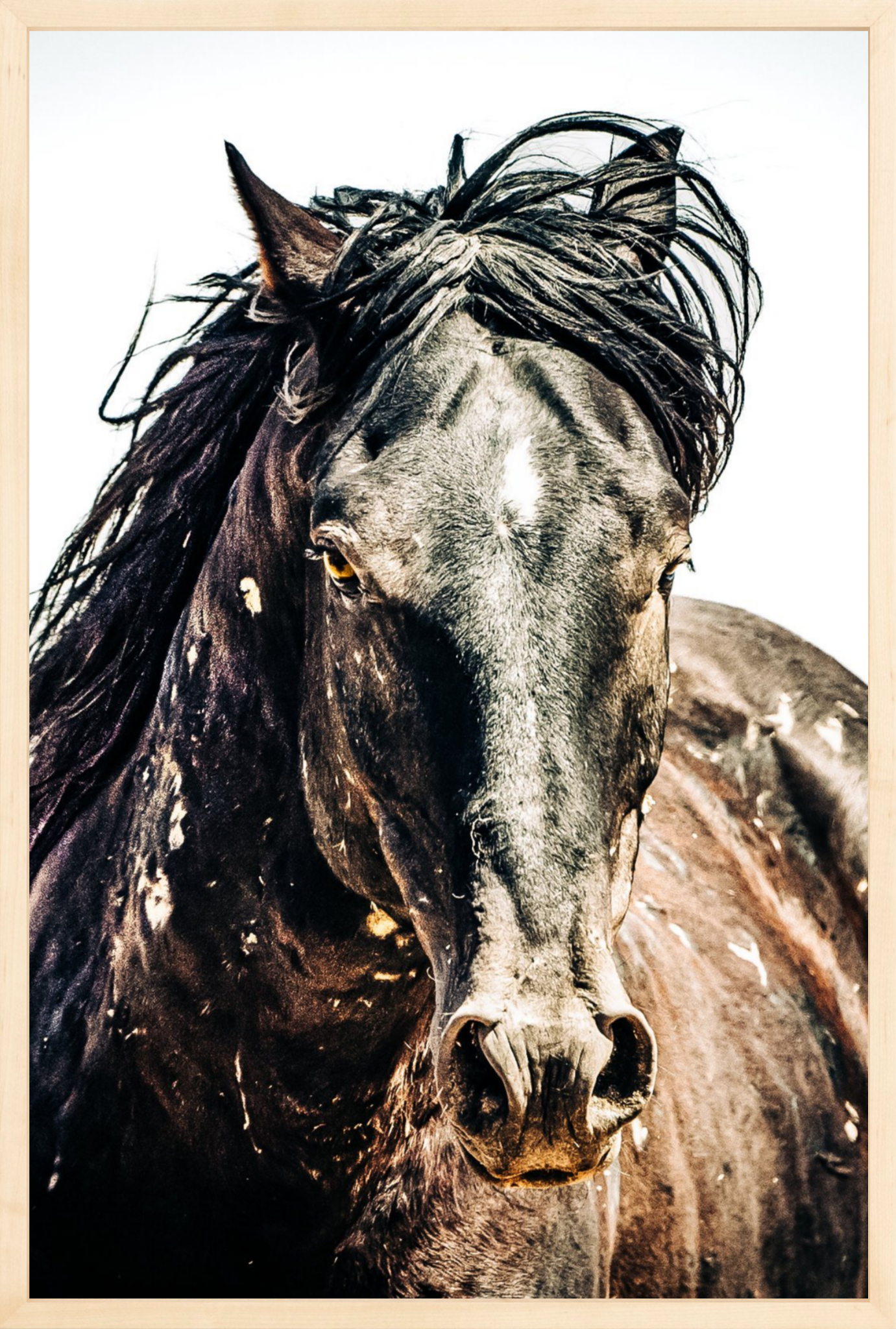 20"x30" / Natural / Full Bleed