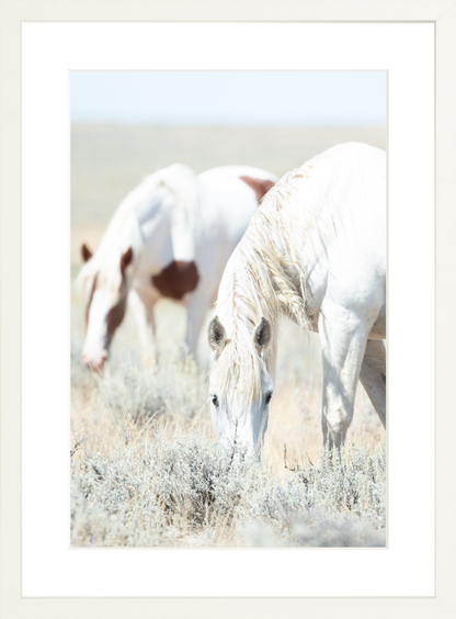 12"x18" / White / Border