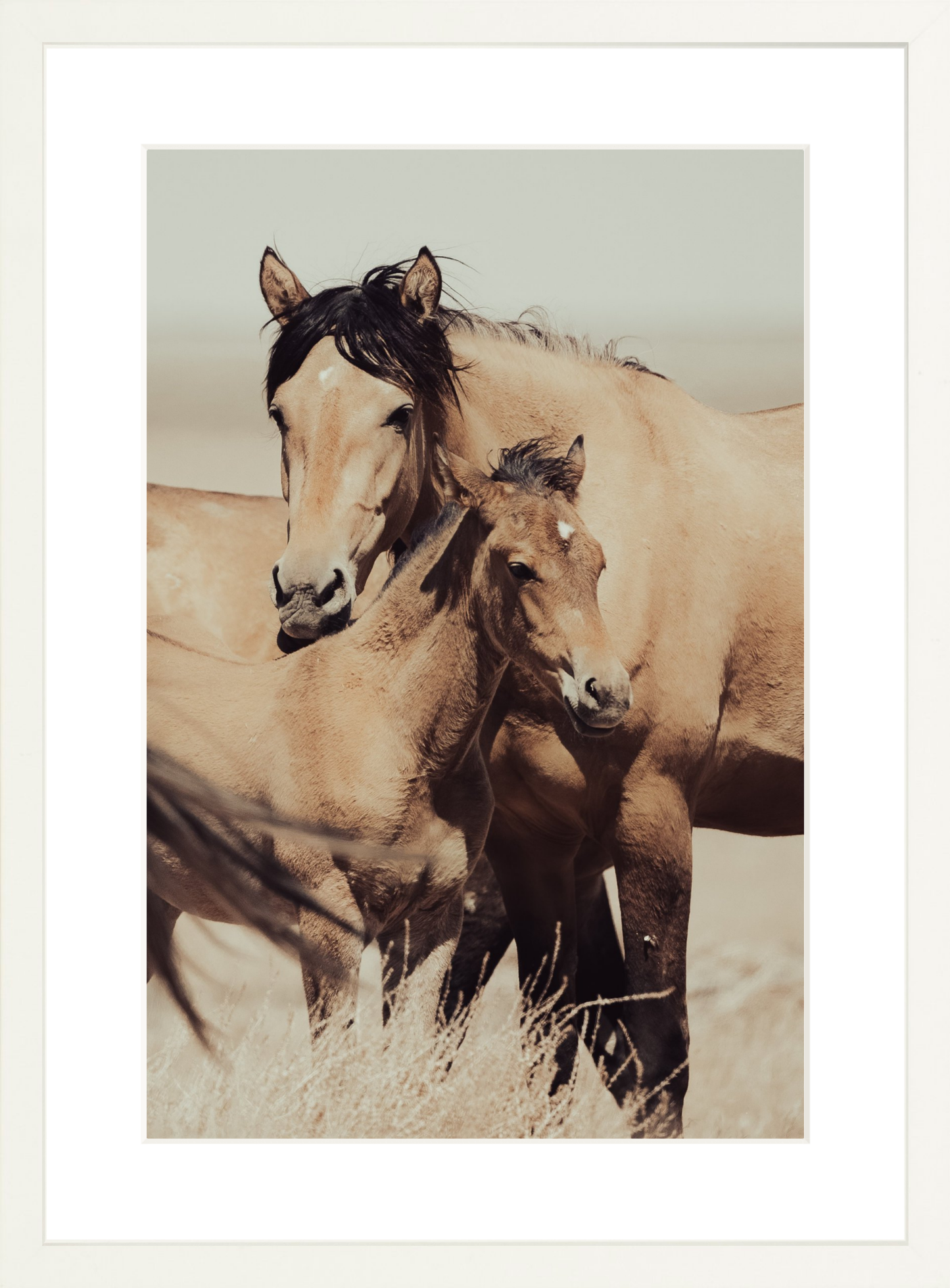12"x18" / White / Border