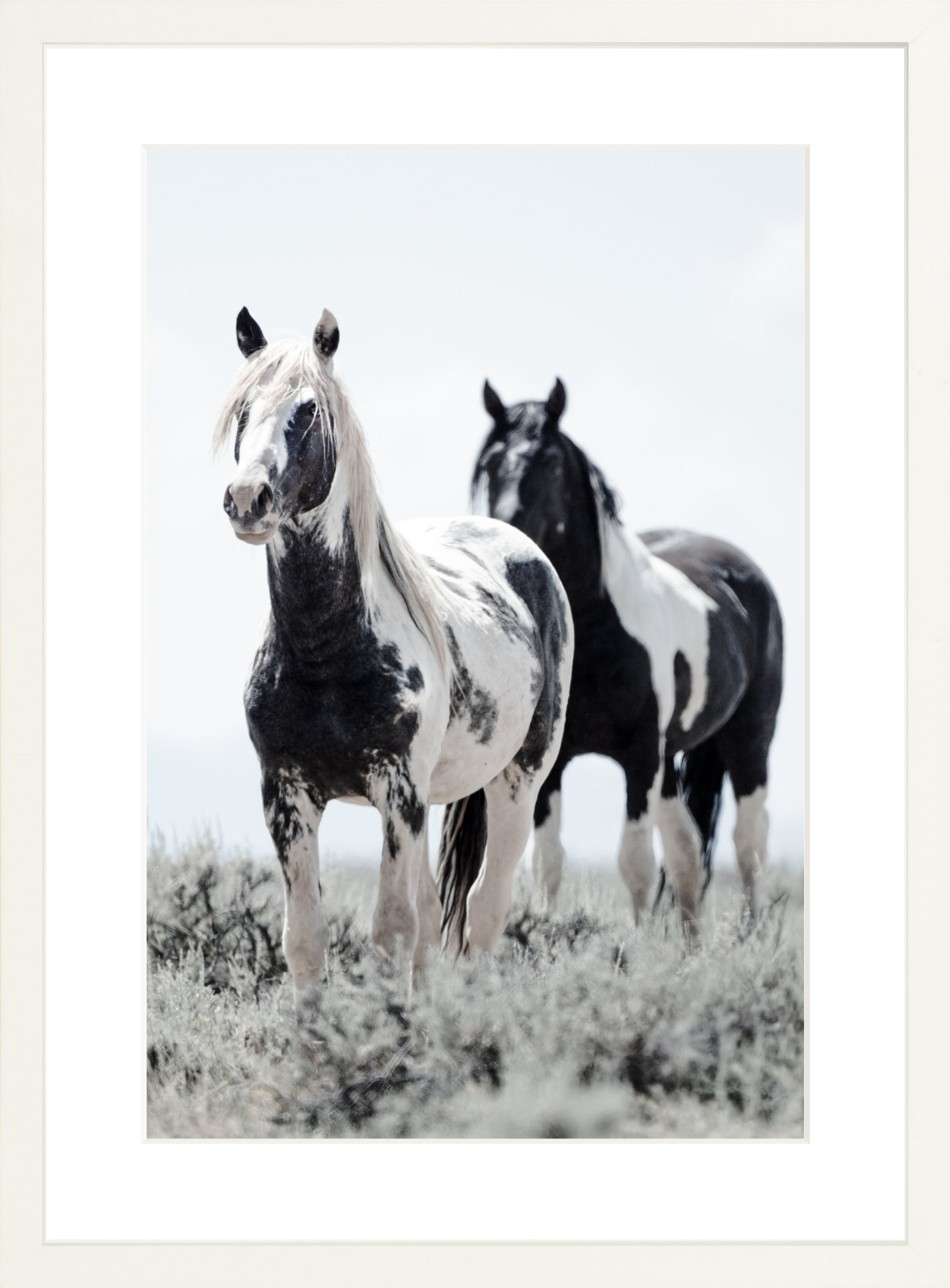 12"x18" / White / Border