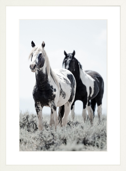 12"x18" / White / Border