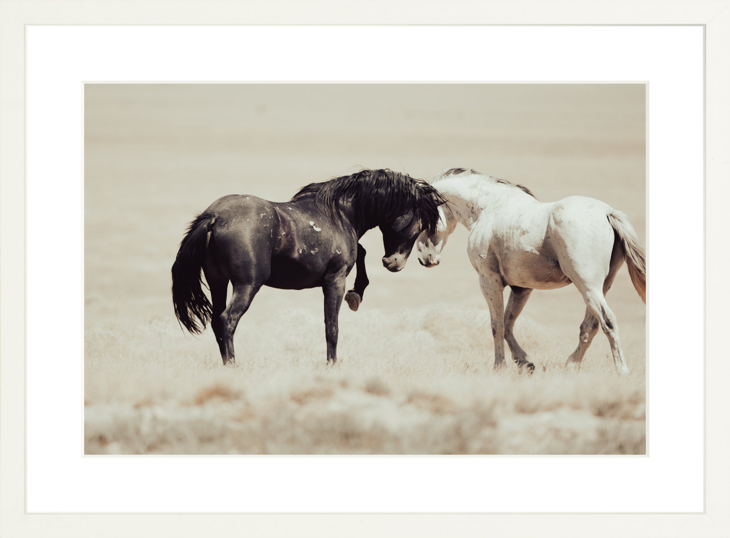 18"x12" / White / Border