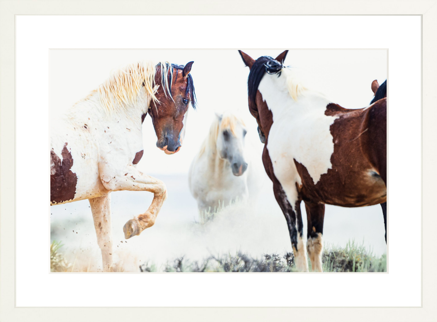 18"x12" / White / Border