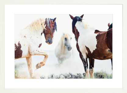 18"x12" / White / Border