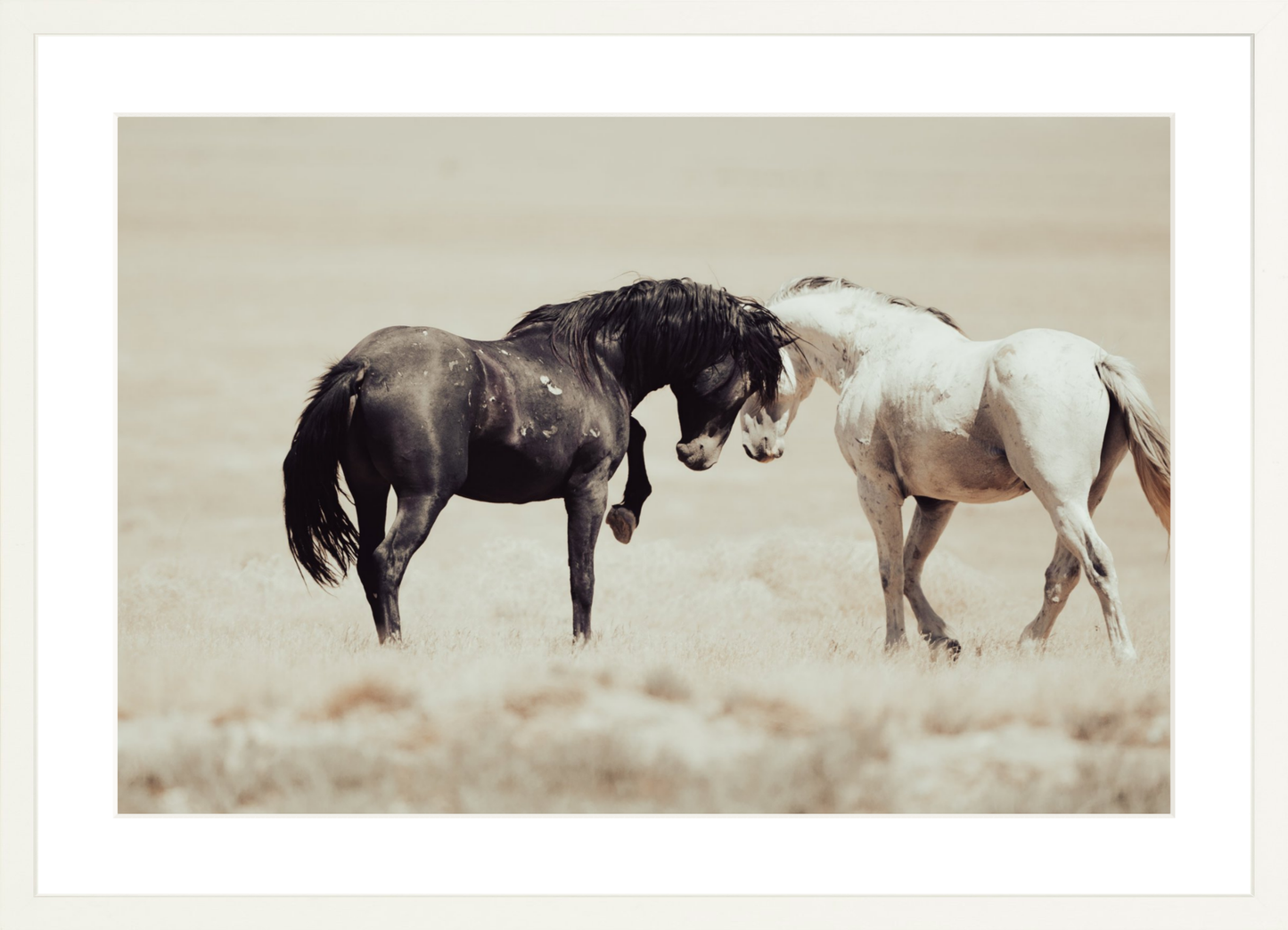 24"x16" / White / Border