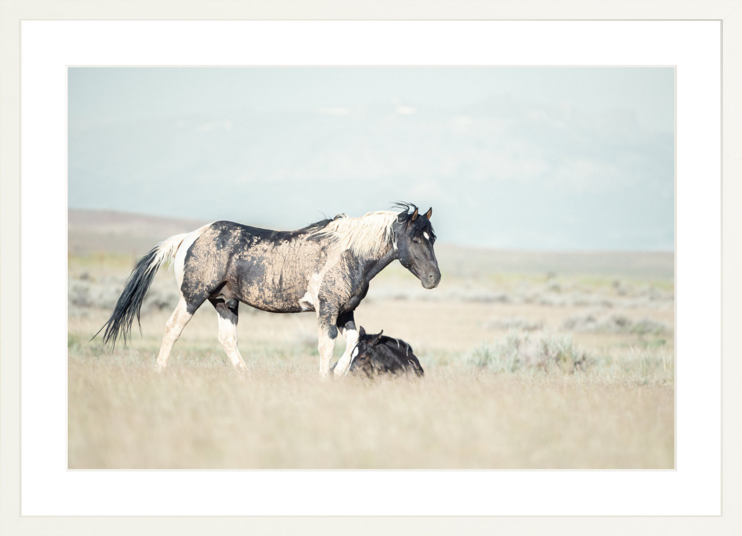 24"x16" / White / Border