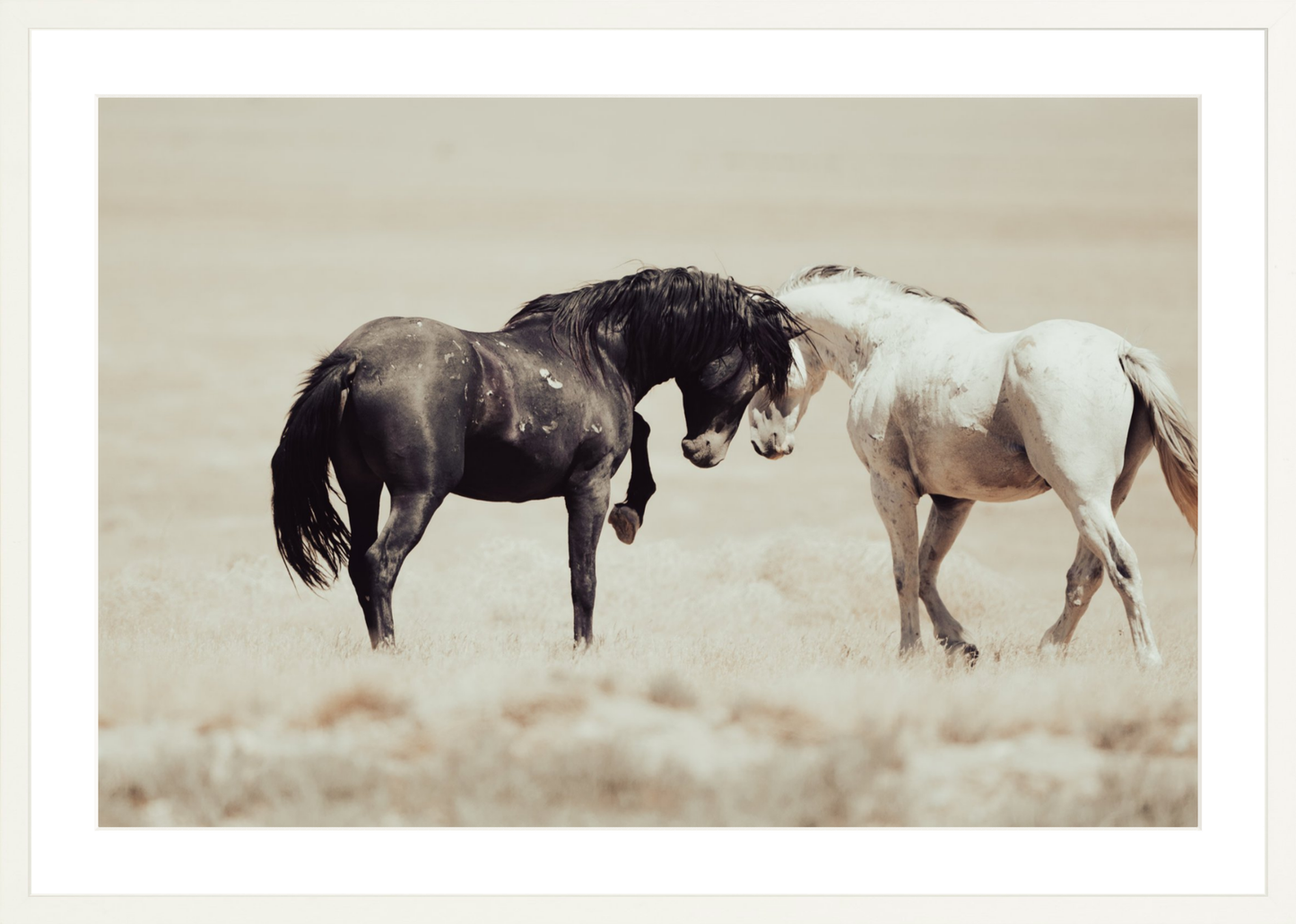 30"x20" / White / Border