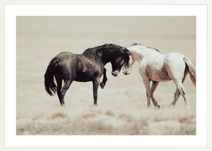 30"x20" / White / Border
