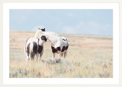 30"x20" / White / Border