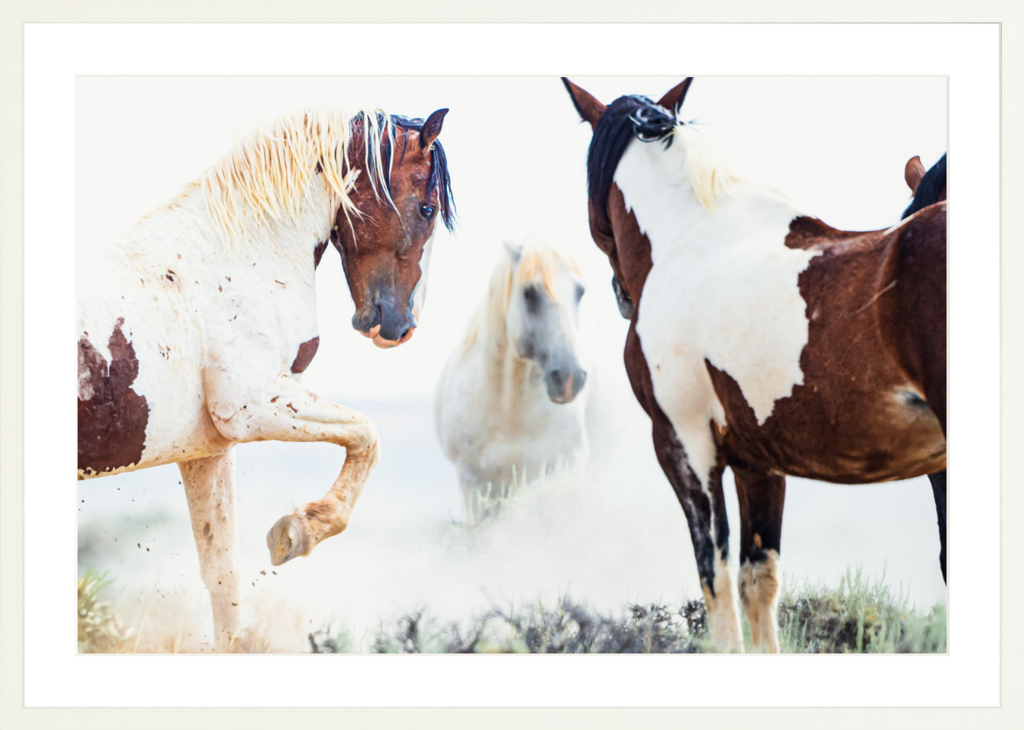 30"x20" / White / Border