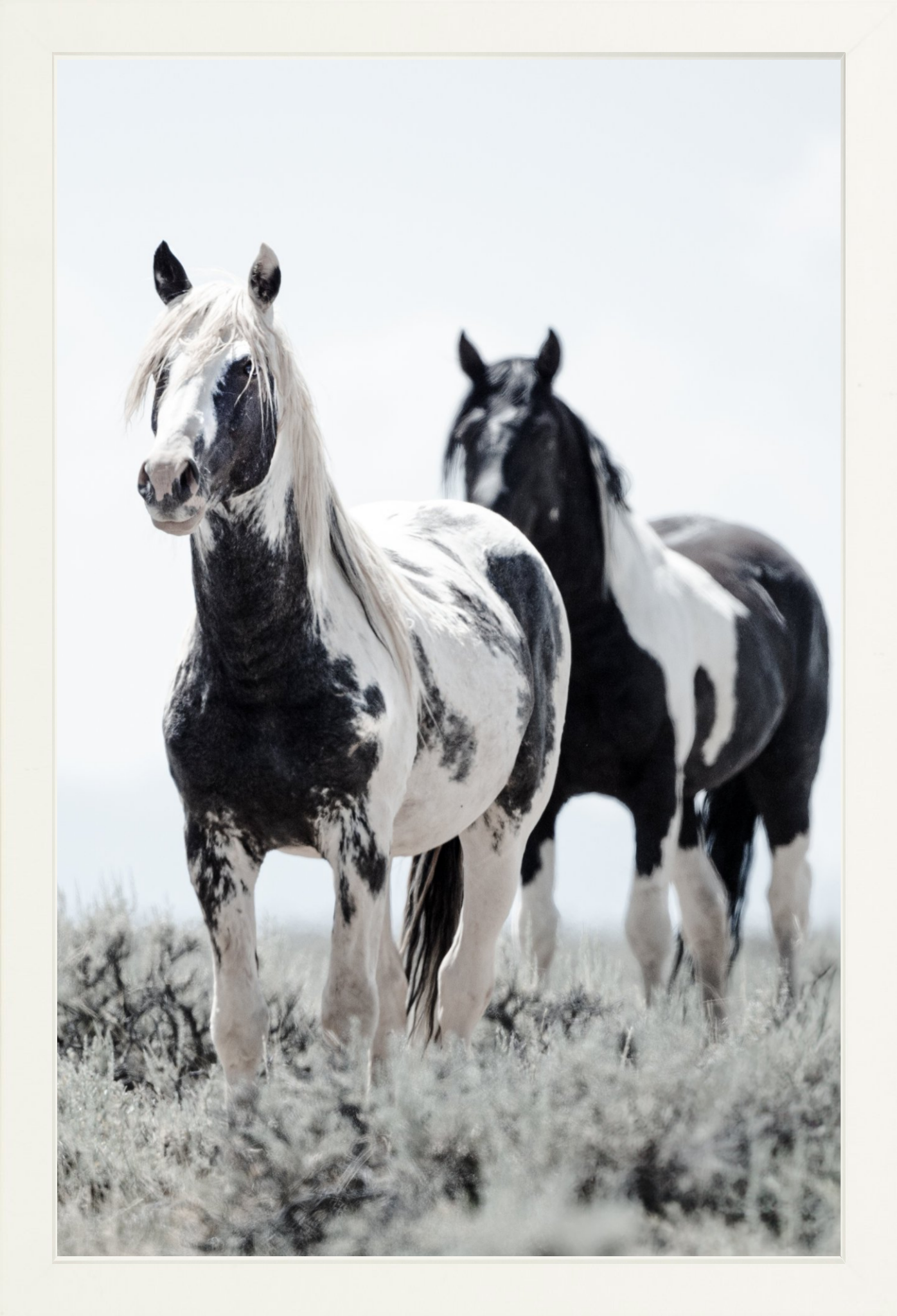 12"x18" / White / Full Bleed