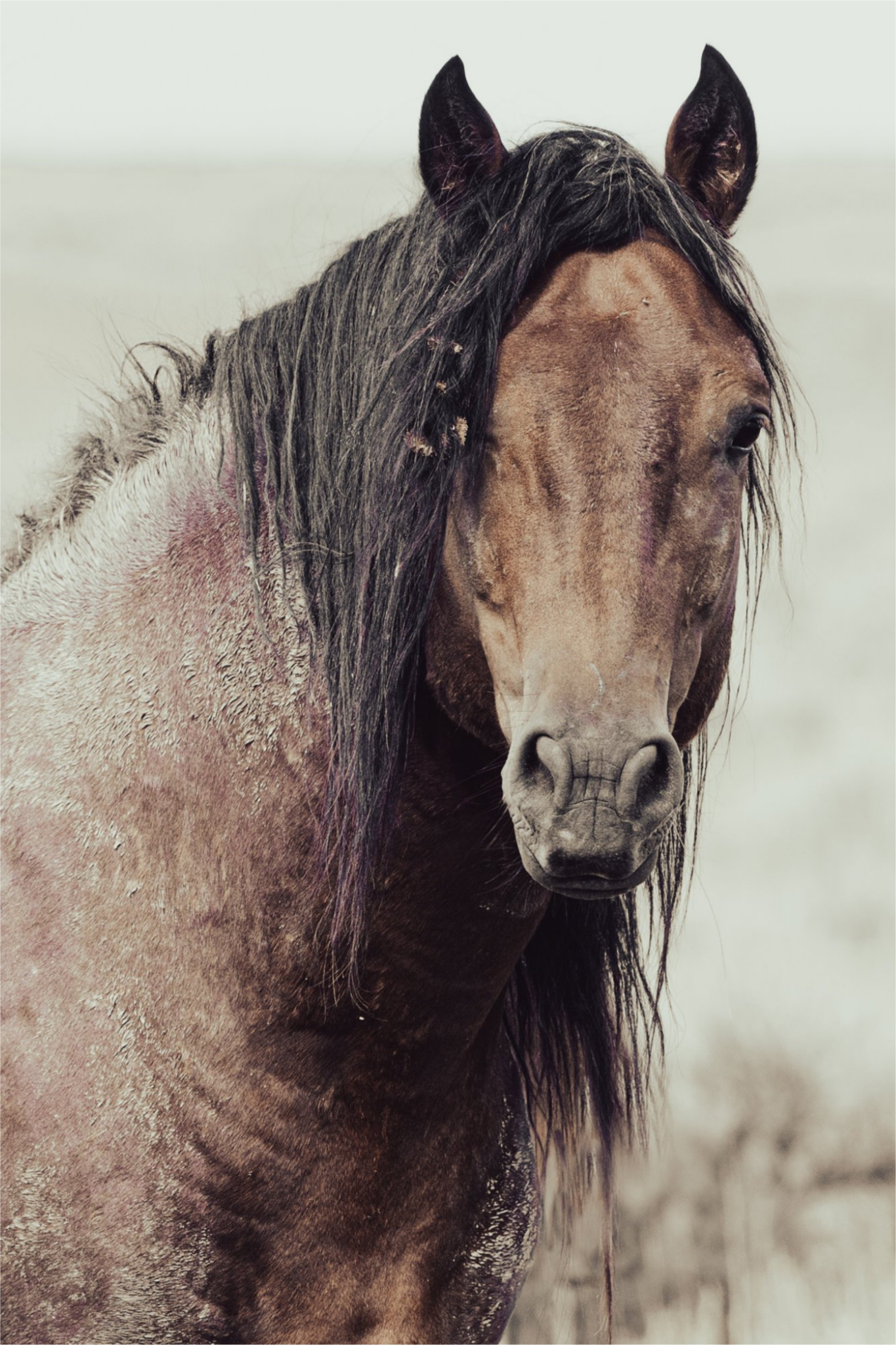 12"x18" / No Frame / Full Bleed
