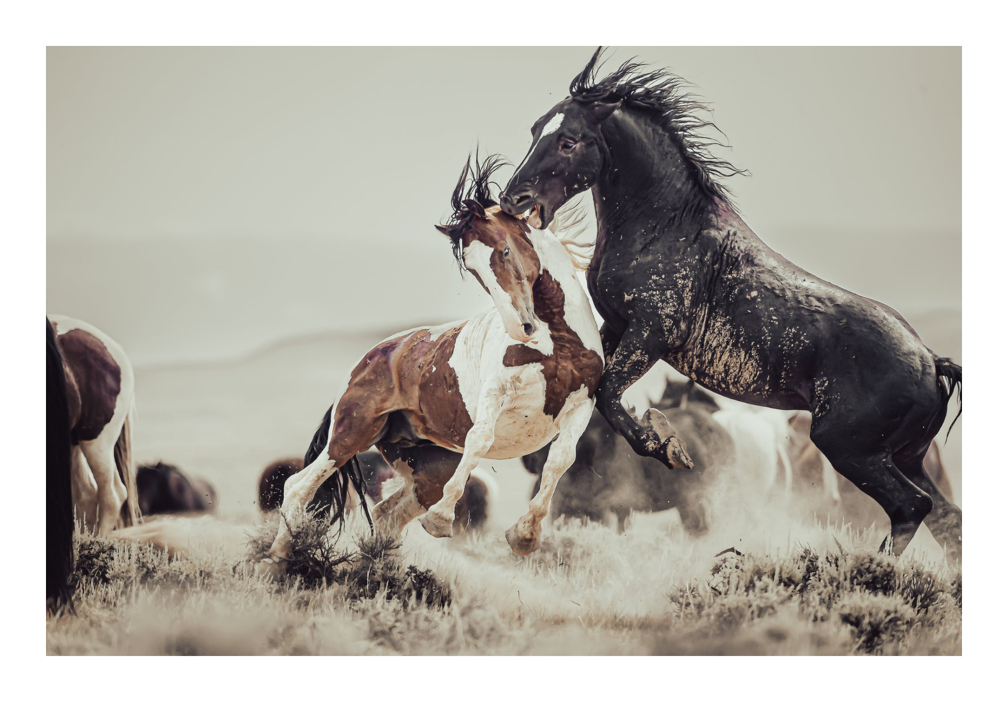 60"x40" / No Frame / Border