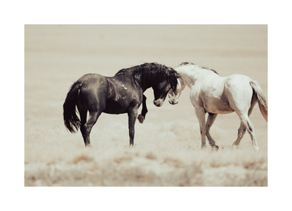 30"x20" / No Frame / Border