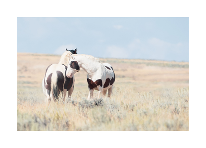 30"x20" / No Frame / Border