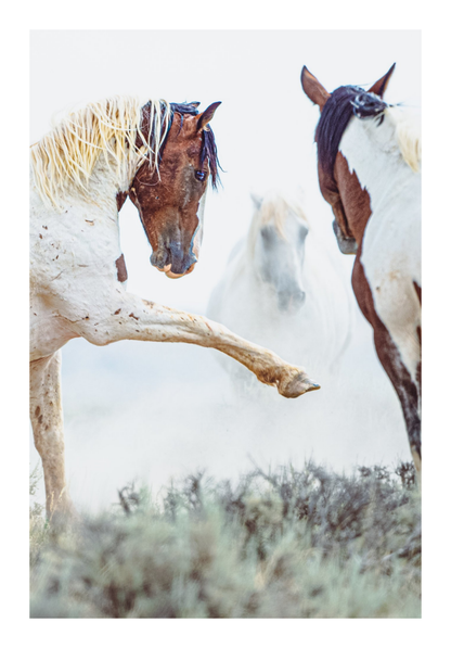 40"x60" / No Frame / Border